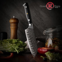 5 Inch Santoku Knife Japanese Damascus Stainless Steel 67 Layers Japanese