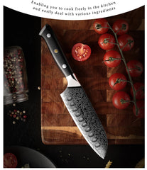 5 Inch Santoku Knife Japanese Damascus Stainless Steel 67 Layers Japanese