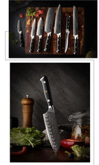 5 Inch Santoku Knife Japanese Damascus Stainless Steel 67 Layers Japanese