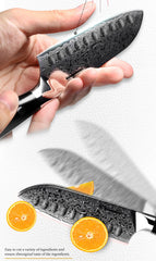 5 Inch Santoku Knife Japanese Damascus Stainless Steel 67 Layers Japanese