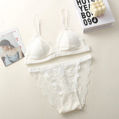 Women Lace Bra And Panties Set Floral Lace Bralette Embroidery Lace Underwear Set