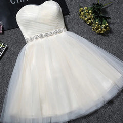 Homecoming Dresses: Evening Dress Short Prom Graduation Classmate party Dresses