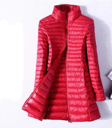 42823051870347|42823052001419|42823052591243|42823052624011|42823052656779|42823052689547|42823052722315