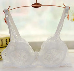 Women Push Up Bra Underwire Full Lace Brassiere Underwear Bras Bralette