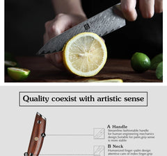 5" Utility Knife Damascus Professional Kitchen Knives Japanese High Carbon