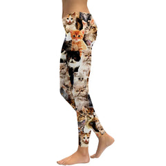 Women Leggings Lovely Cat Holographic Digital Print Fitness legging