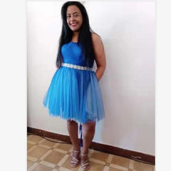 Homecoming Dresses: Evening Dress Short Prom Graduation Classmate party Dresses