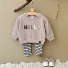 Baby Boy Clothing Set Sports Shirt Hooded Sweatshirt+Long Pants Children's Long Sleeved Clothing Set Towel Embroidery Label Set