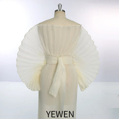 Homecoming Dresses: Organza Pleated Formal Dress Photography Photo Shoot Dress