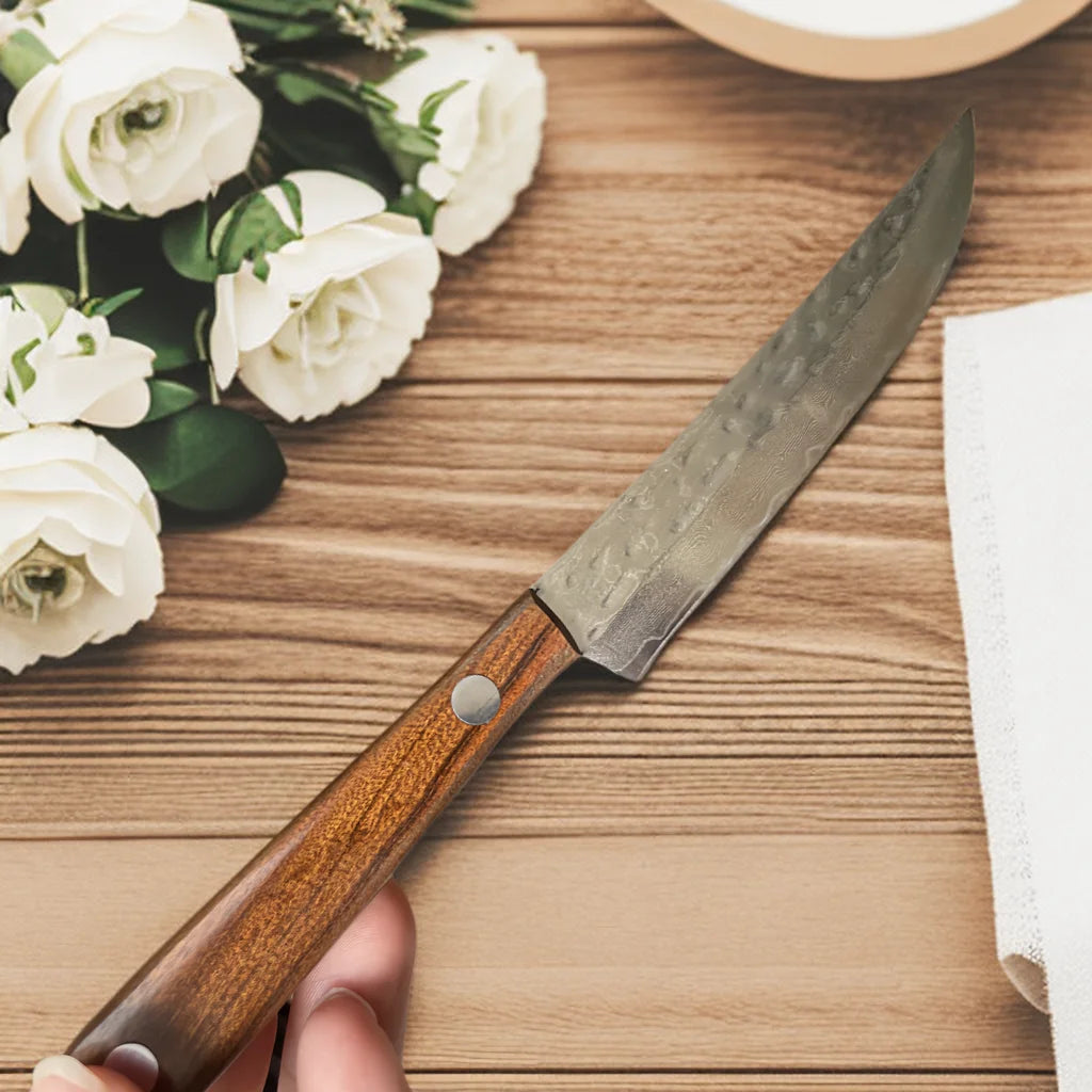 67-ply Forged Damascus Steel Steak Set Blade Sharp Peeling Fruit Knife Smooth