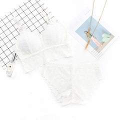 Women's Bra Set Beauty Back Tops Lace Push-up Bras and Panty Sets