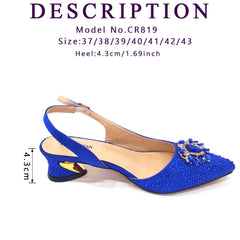 Matching Shoes and Bags: Royal Blue Color Decorated with Crystal Ladies Wedding Party