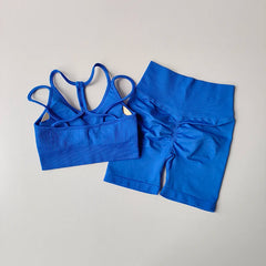 Women Yoga Set Gym Sportswear Sport Bra and Hight Waist Shorts Suit Fitness Workout