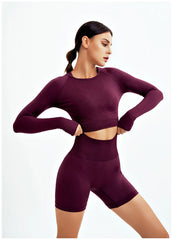 Seamless Yoga Set Gym Clothes Sportswear Yoga Suits For Women