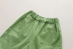 Summer Casual Newborn Baby Boys Toddler Big Dinosaure Short Sleeve Tops Pants 2Pcs/set Cotton Kids Outfits Clothing