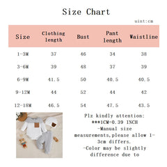 3PCS Newborn Baby Boy Clothes Set Long Sleeved Color Blocked Bodysuit+Gray Pants+Hat Autumn Clothing for Toddlers 1-18 Months