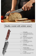 1-10 PCS Kitchen Knife 67 Layers Damascus Steel Chef Slicing Utility Paring Knife