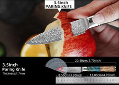 Kitchen Knives-Set Damascus Steel VG10 Chef Knife Cleaver Paring Bread Knife Blue