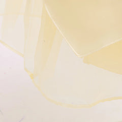 Tiana Cosplay Costume for Girls Fancy Princess Cosplay The Frog Dress