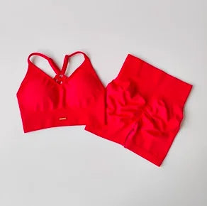 42834248335499|42834248401035|42834248499339