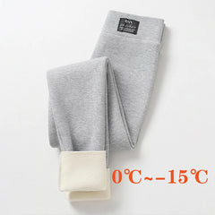 42485375107211|42485375205515|42485376057483|42485376155787