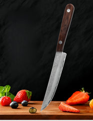 67-ply Forged Damascus Steel Steak Set Blade Sharp Peeling Fruit Knife Smooth