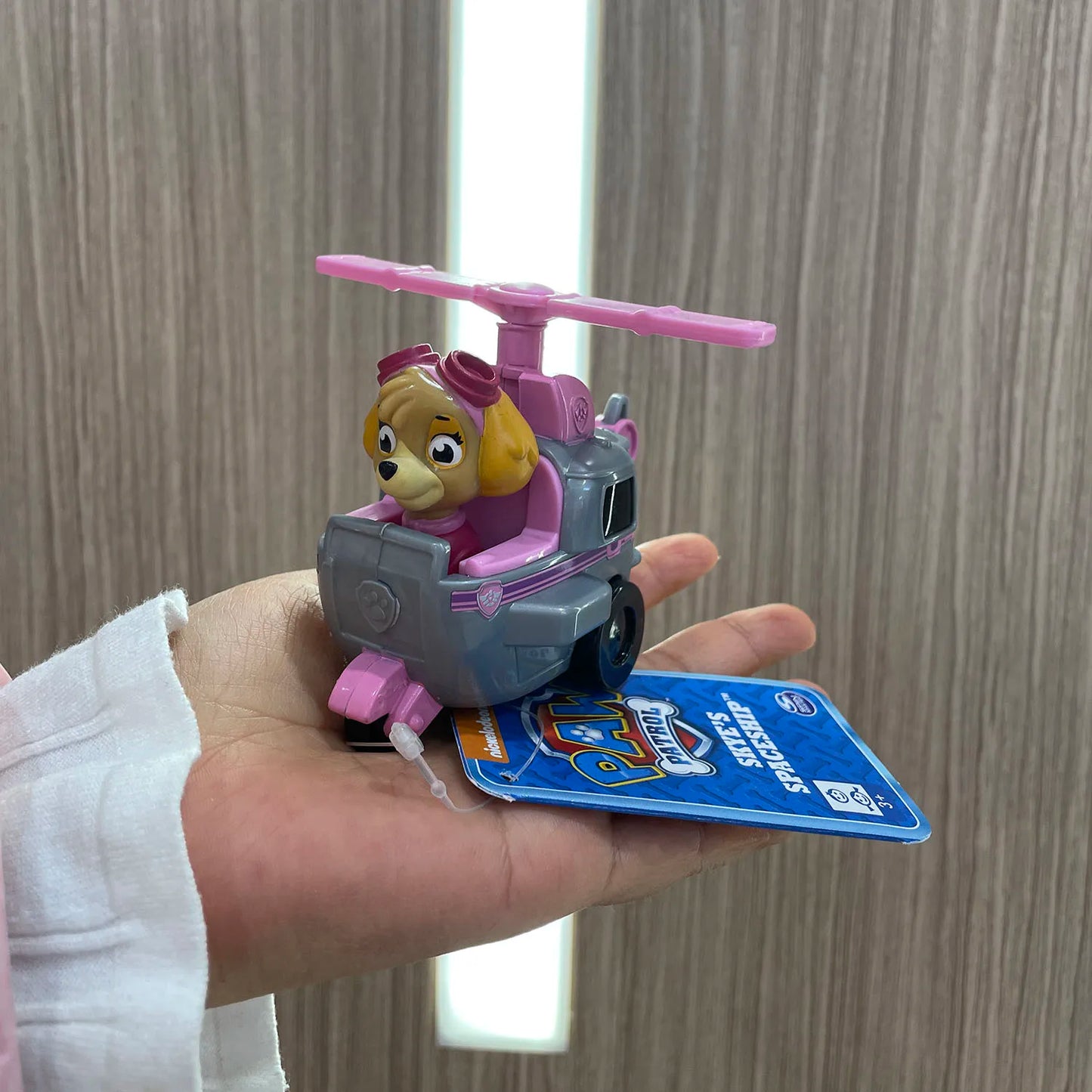 Genuine Paw Patrol 8-9CM Ryder Chase Skye Zuma Rocky Patrollers Anime Doll Action Figures Rescue Team Kids Birthday Gift Toy