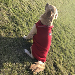 Reversible Pet Jacket Winter Warm Fleece Dog Clothes for Small Medium Large Dogs
