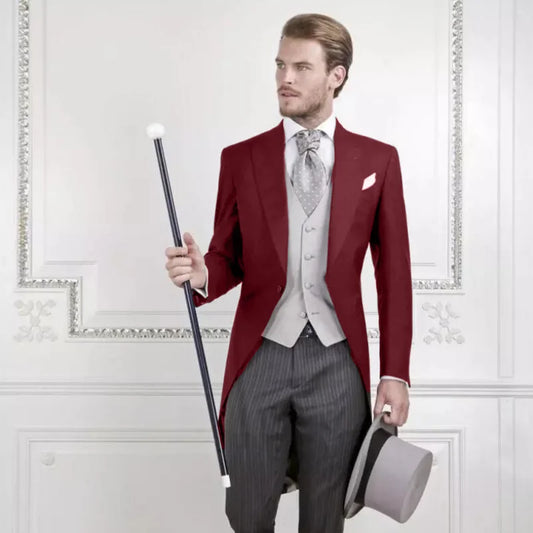 Tuxedo for Mens: Men Suit 3 Pieces With Gray Vest Striped Trousers Business Casual
