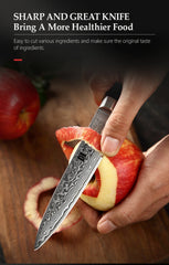 5"Inch Utility Knife Profesional Japanese Damascus Steel Kitchen Knife