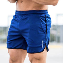 Running Shorts Men Sports Jogging Fitness Shorts Quick Dry beach pants Gym