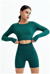 Seamless Yoga Set Gym Clothes Sportswear Yoga Suits For Women