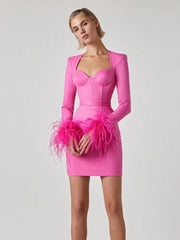 Formal attire Dresses: Women Winter Long Sleeve Feathers Pink Black Mini