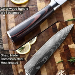 Professional Damascus Kitchen Knives Japanese Santoku Cleaver Slicing Knife Stainless