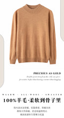 Fashion Men's 100% Wool Pullover Half-high Collar Sweater Autumn Winter Warm Top