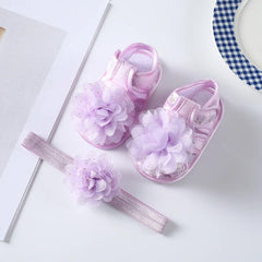 41973812494475|41973812527243|41973812560011