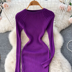 Package Hips Women Dress Autumn Winter Fashion Slim Elastic