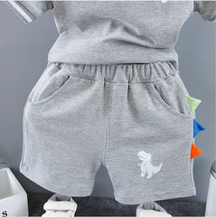 Infant Baby Boy Sets Summer Clothing Casual Sport Suit POLO Shirt + Shorts 2Pcs Set Boys Kids Grey Dinosaur Print Tracksuit