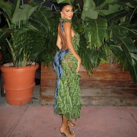 Backless Tassel Mesh Maxi Party Dress Women See Through Turtleneck Sleeveless