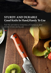 3.5'' Inch Paring Kitchen Knife Handmade Damascus Steel Rosewood Handle