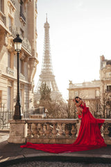 Homecoming Dresses: Formal Party Dress Evening Dress Long Train Prom Dress