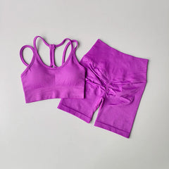 Women Yoga Set Gym Sportswear Sport Bra and Hight Waist Shorts Suit Fitness Workout