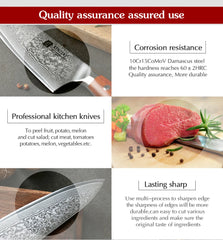 1-10 PCS Kitchen Knife 67 Layers Damascus Steel Chef Slicing Utility Paring Knife
