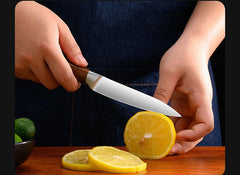 Kitchen Knife Stainless Steel Slicing Cleaver Japanese Chef Fish Cutting Vegetables Meat