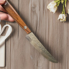 67-ply Forged Damascus Steel Steak Set Blade Sharp Peeling Fruit Knife Smooth