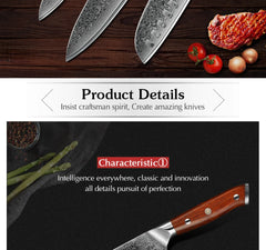 1PCS or 3PCS Kitchen Knife Sets Japanese Forged Damascus Steel Chef
