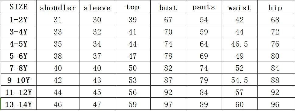 Boy Clothes Set Baby Girls Cartoon Embroidery Bear Sweatshirts Pullover Top and Pants Suit Teenage Tracksuits