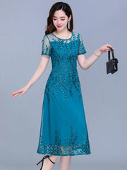 Evening Dresses: Blue Casual Chiffon Mesh Korean Long Dress Women