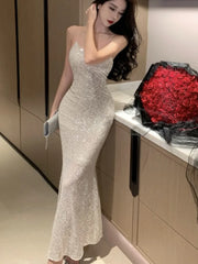 Evening Dresses: Bodycon Sequined Evening Party Long Dresses for Women