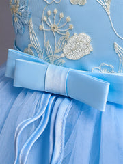 Blue girl's floral embroidery dress sleeveless slim princess birthday party dress piano performance Wear